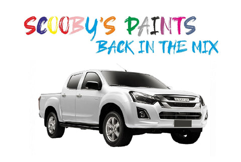 Isuzu D-max Car Touch Up And spray paint