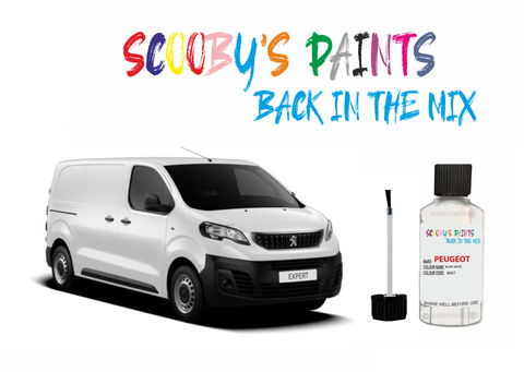 Peugeot-expert-Van-touch-up-paint-Scratch-repair-kit