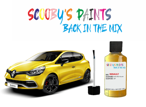 Renault-Clio-yellow-touch-up-paint