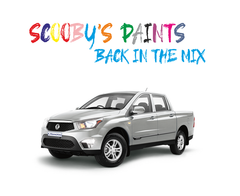 Ssangyong Actyon Touch Up Paints & Aerosol Spray paint