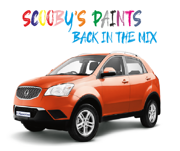 Ssangyong Korando Sports Touch Up Paints & Aerosol Spray paint