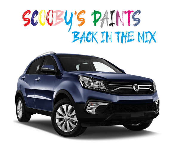 Ssangyong Korando Touch Up Paints & Aerosol Spray paint