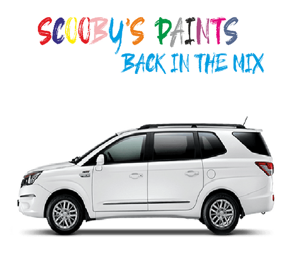 Ssangyong Korando Turismo Touch Up Paints & Aerosol Spray paint