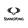SsangYong Touch Up Paints and Aerosol Spray Paint
