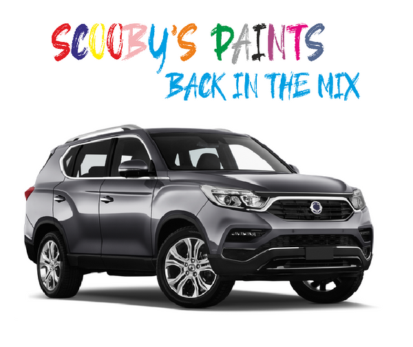 Ssangyong Rexton Touch Up Paints & Aerosol Spray paint