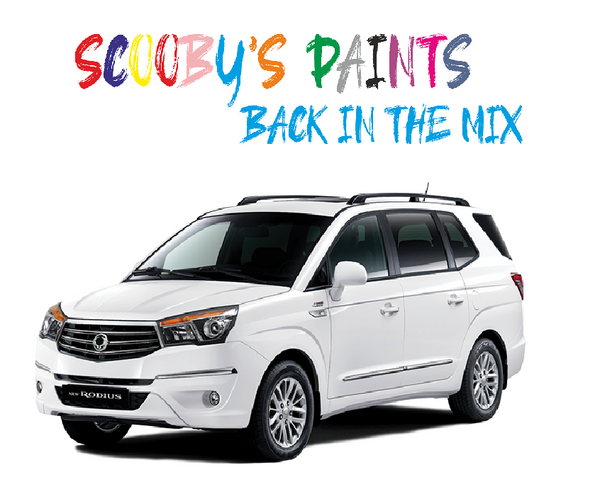 Ssangyong Rodius Touch Up Paints & Aerosol Spray paint