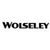 Vintage Wolseley Classic Original Paints