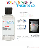 Paint For Audi A3 Polar White Code P1 Touch Up Paint Scratch Stone Chip Repair