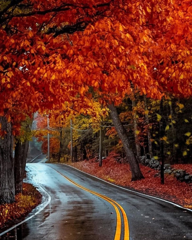 Autumn Vibes Around The World – TravelOpel.Com
