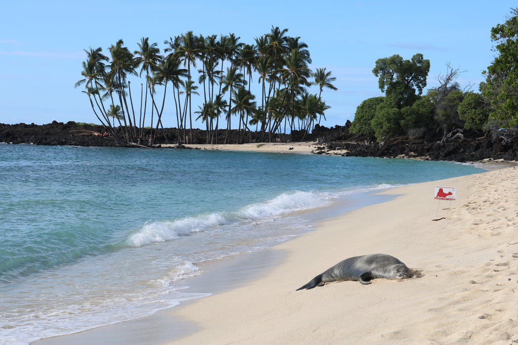 Most Romantic Islands in the World - Big Island, Hawaii