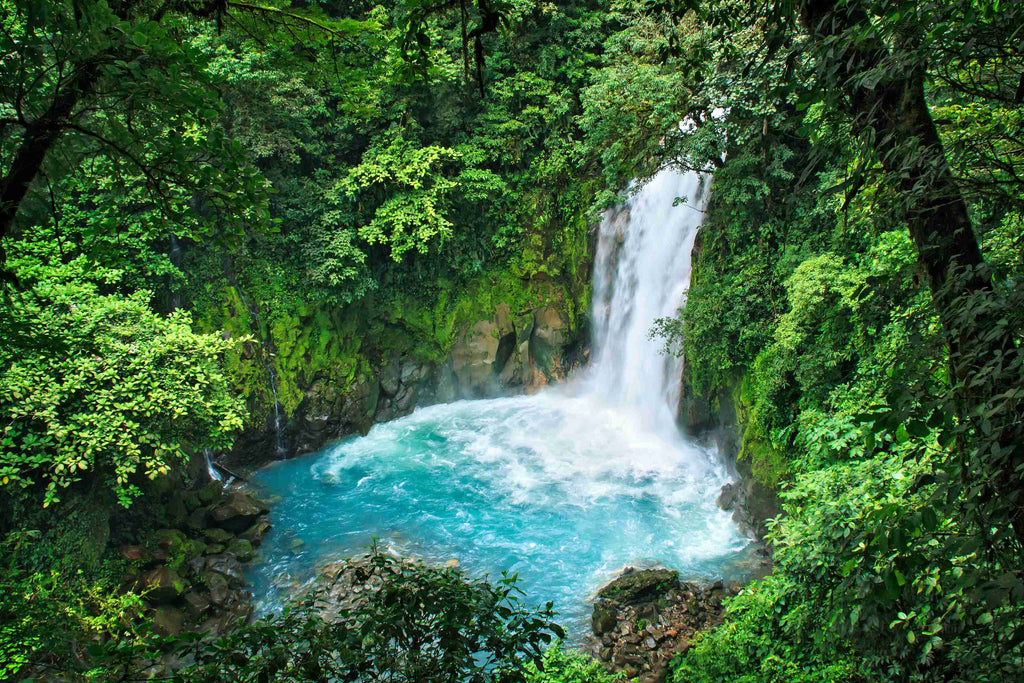 water falls in the middle of green trees photo