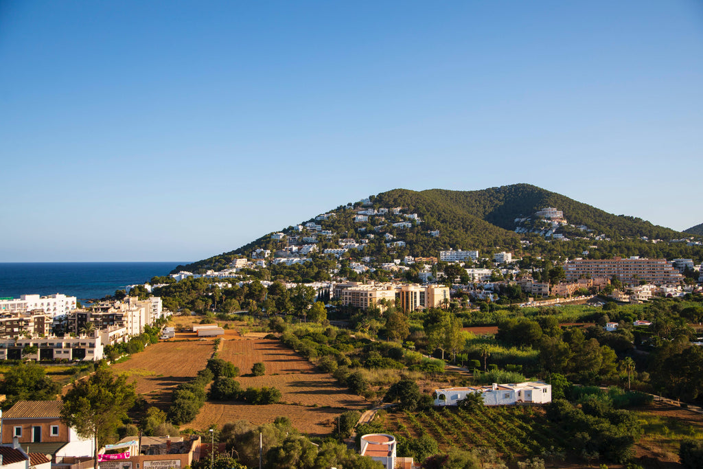 aerial view of city buildings during daytime photo