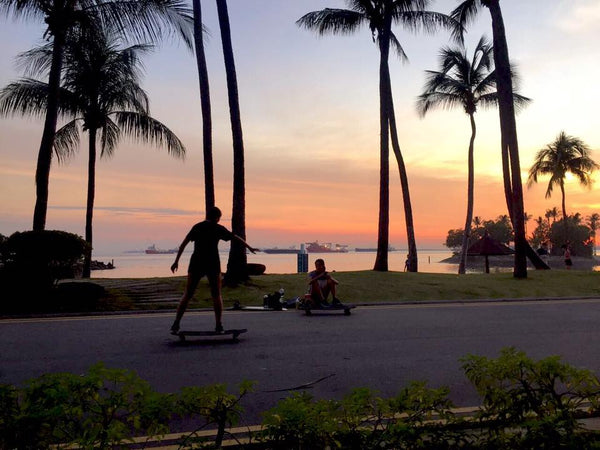 longboard in the sunset singapore