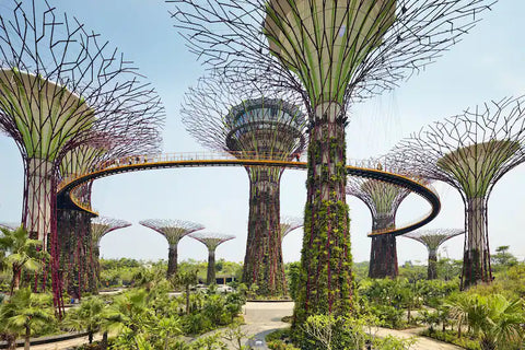 visit gardens by the bay singapore on your day off