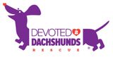 Devoted 2 Dachshunds Rescue D2DR Charity