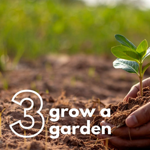 grow a garden