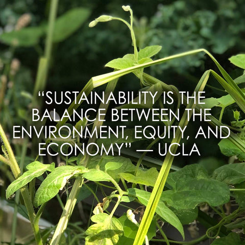 sustainability