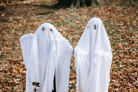 Two children in ghost costumes during Autumn