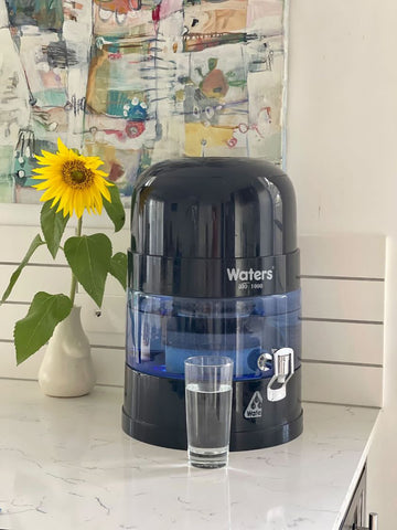 Bio 1000 water filter