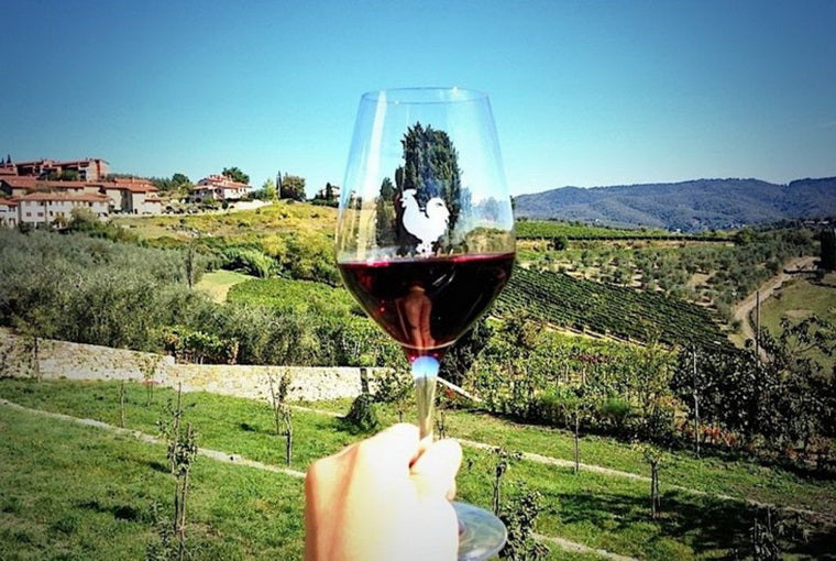 葡萄酒品味與健康 Italian Wine - Taste & Health Chianti