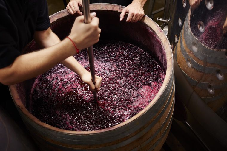 葡萄酒釀造過程  推薦10支你一定要飲的葡萄酒  最好葡萄酒品牌  世界最有名氣葡萄酒種類  5大因素控制葡萄酒價格