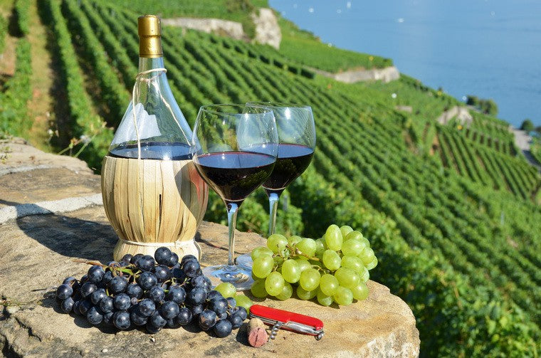 Apulia Grapes Italian wine  Italian  Taste  Wine making Wine industry Wine factory Wine producing  Alcohol意大利名莊葡萄酒品牌 葡萄酒價格 葡萄酒歷史的真相 葡萄酒英文 葡萄酒酒精濃度 葡萄酒歷史
