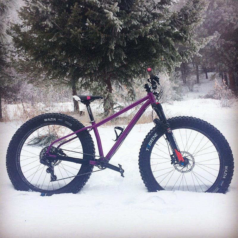 steel fat bike