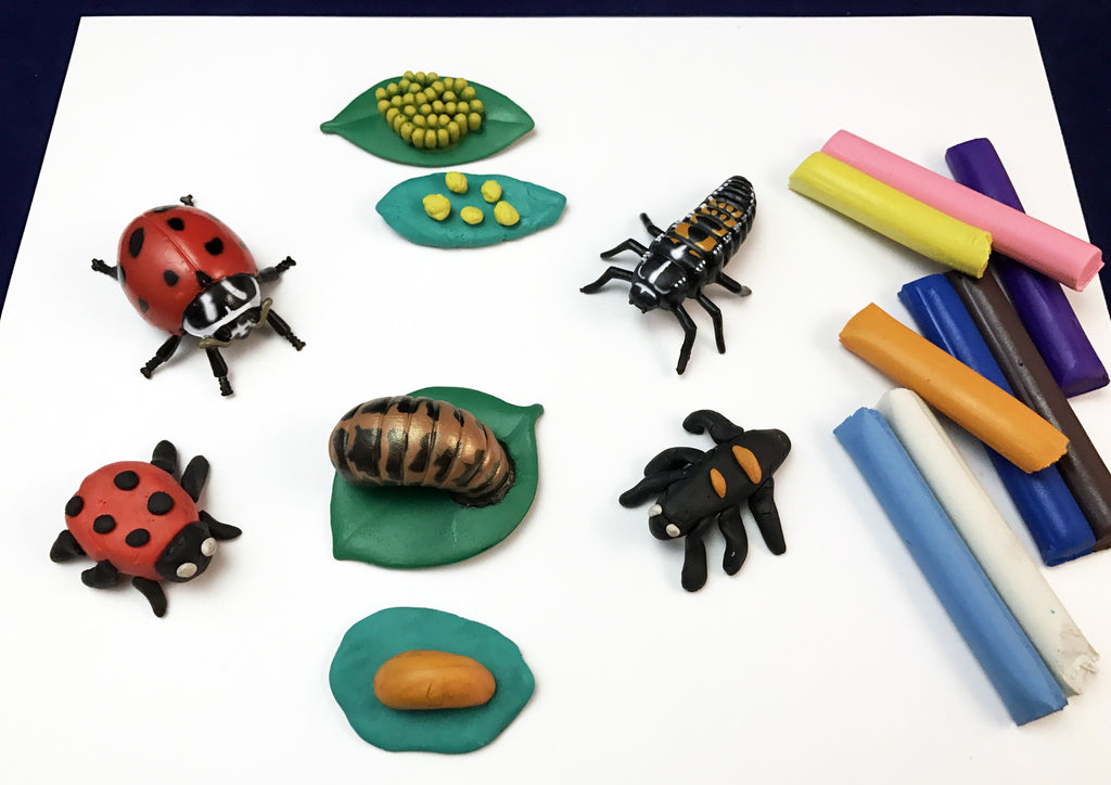 ladybug clay model