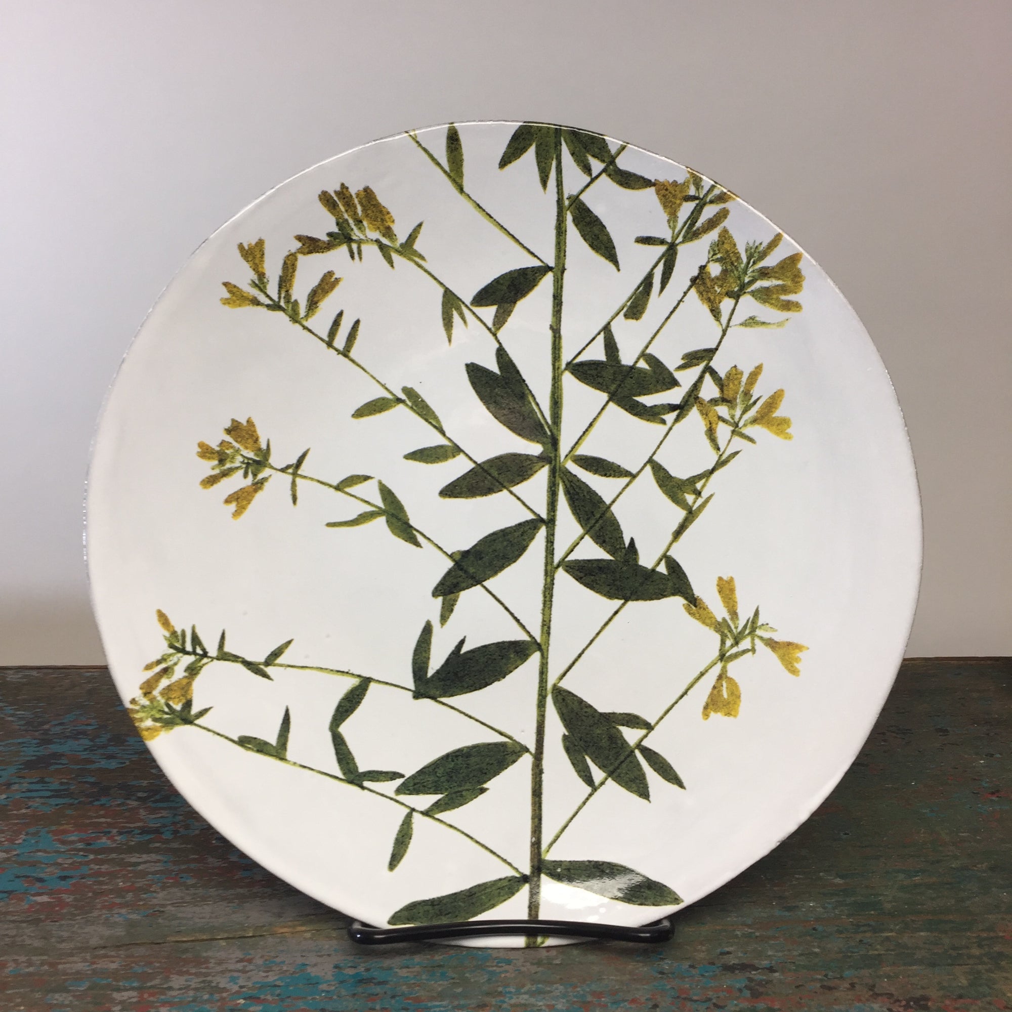 Astier de Villatte John Derian Genista Botanical Plate - ISLES STUDIO