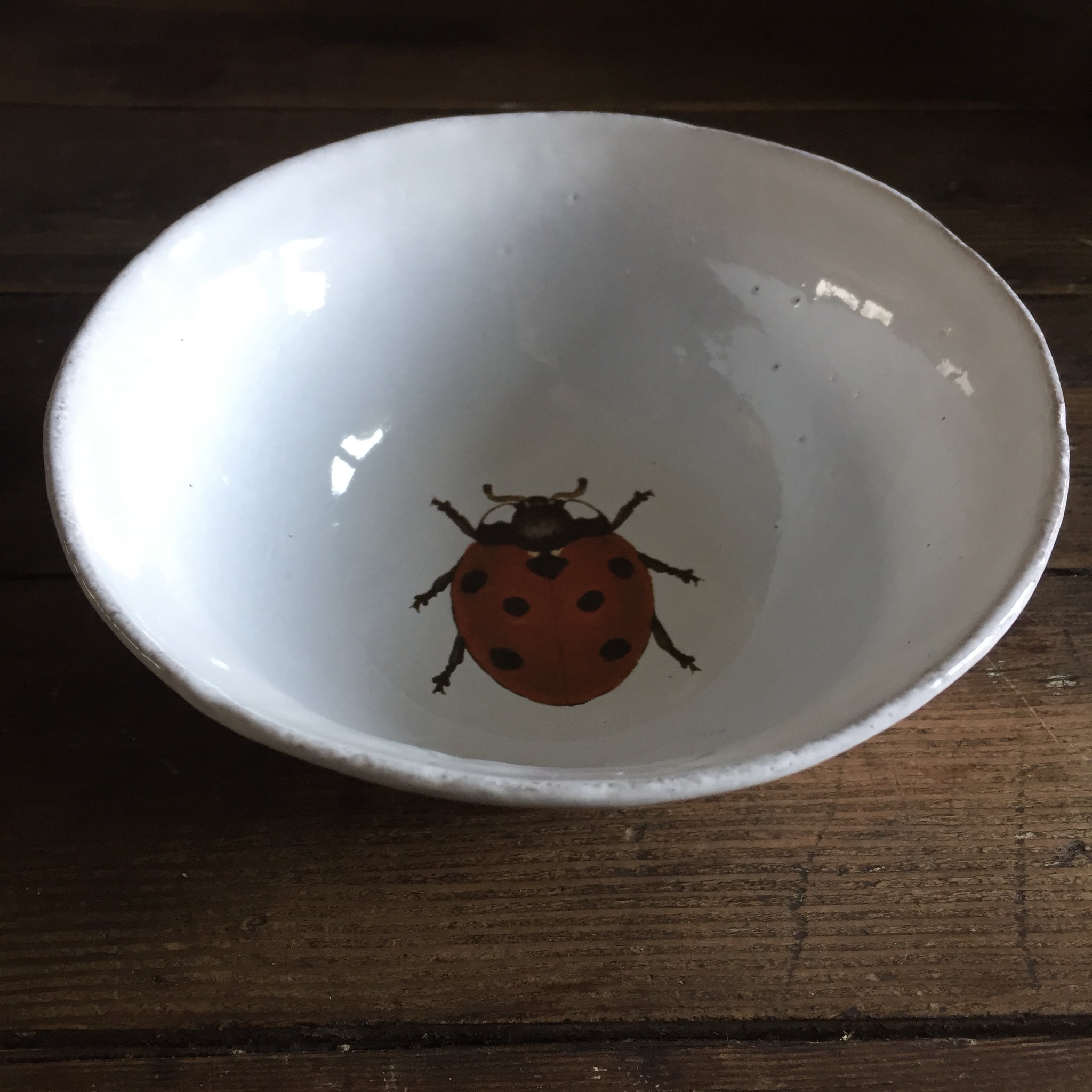 Astier de Villatte プレート 31cm（ladybird） 年末のプロモーション