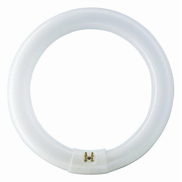 circular fluro light