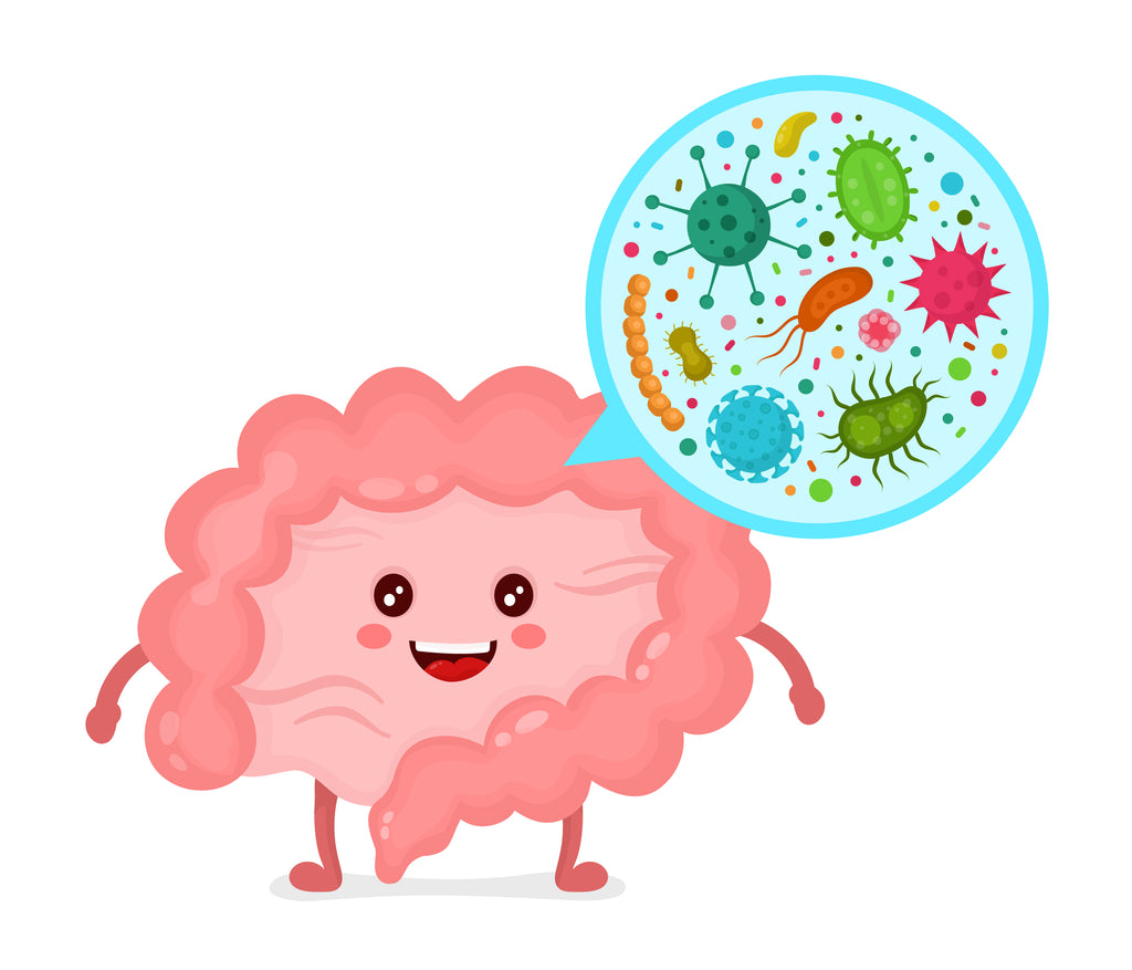 How Does Gut Bacteria Alter Mood?