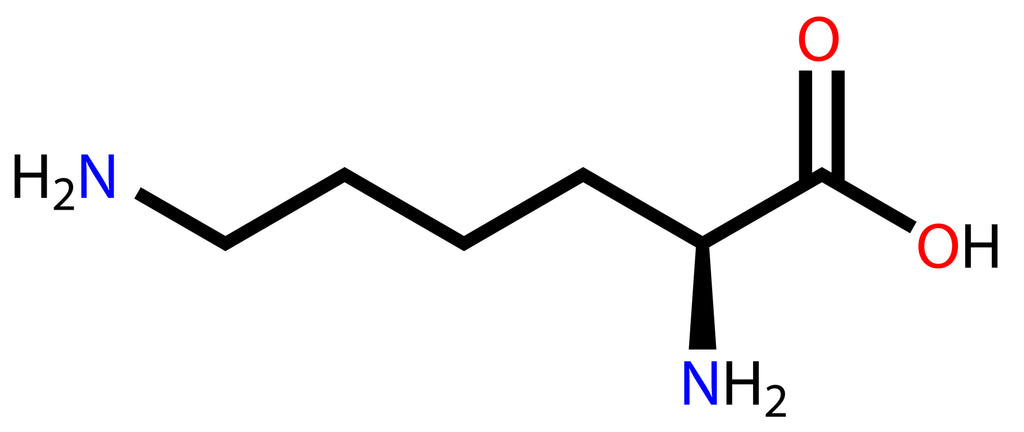 Lysine 