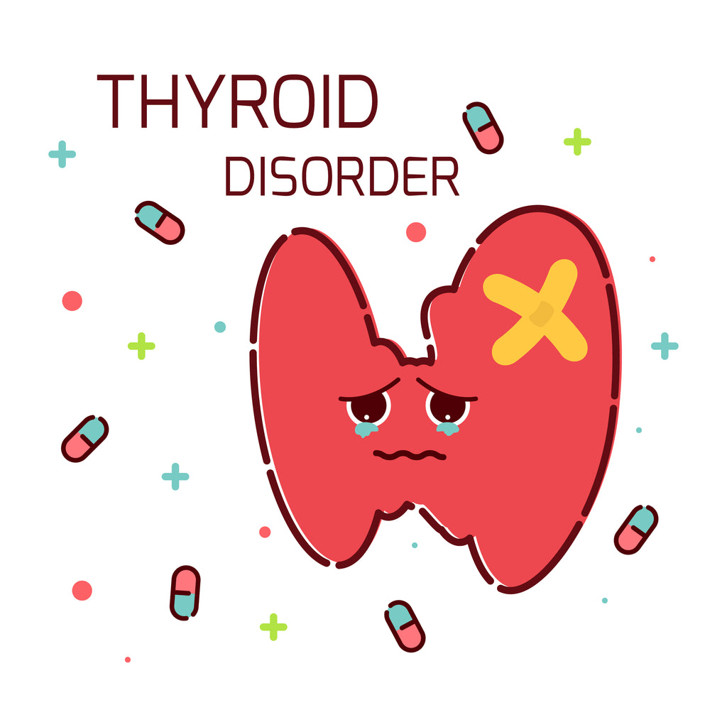 What is Hashimoto’s Thyroiditis?