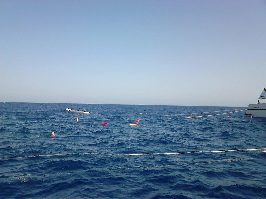 DSMB deployed in the Red Sea Decompression Stop