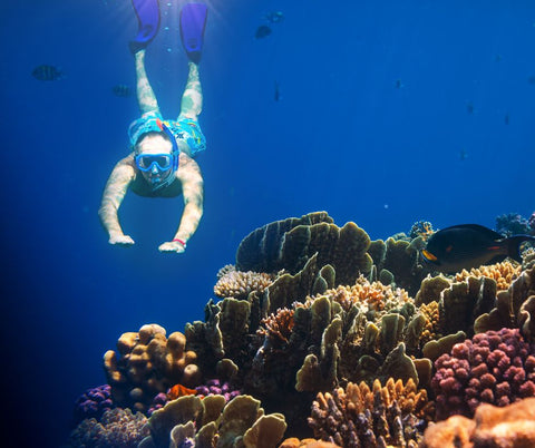 8 Reasons To Jump Into Snorkelling