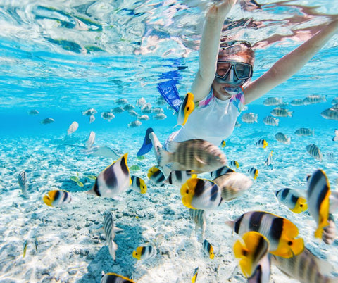 Top 8 Reasons To Jump Into Snorkelling - Mike's Dive Store