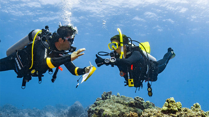 PADI Dive Theory E-Learning Course