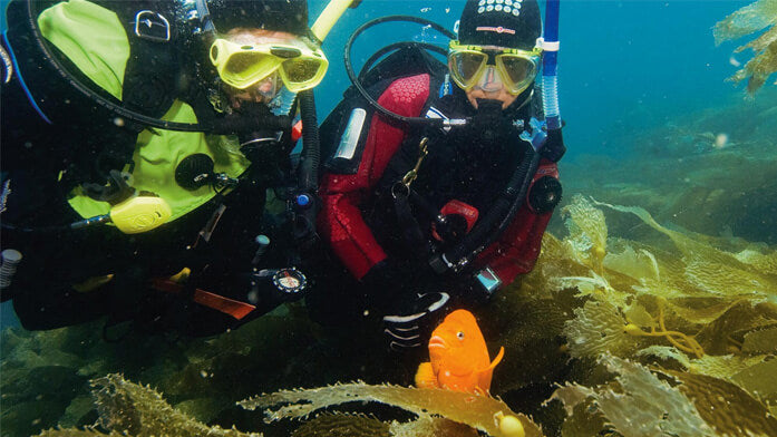 PADI Dry Suit Diver E-Learning Course