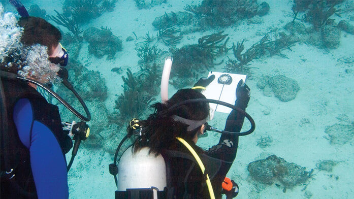 PADI Underwater Navigator E-Learning Course