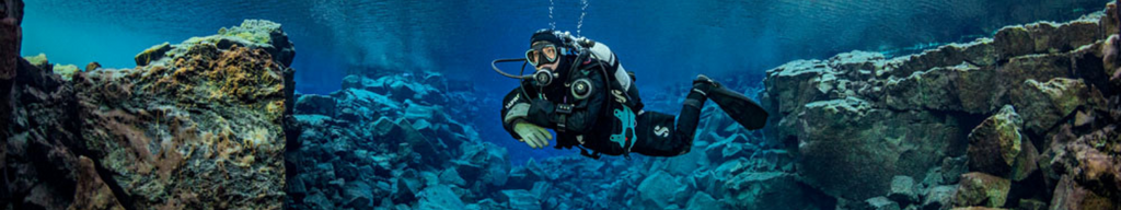 Scuba Divers' Calendar: Home and Away