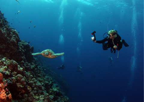  How Scuba Divers Can Help Protect Reefs - Mike's Dive Store