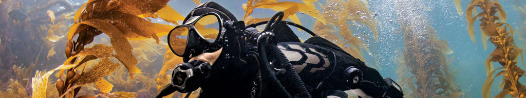 Scuba Divers' Calendar: Home and Away