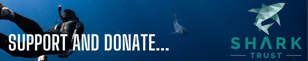 Shark Awareness Day - The Shark Trust Support