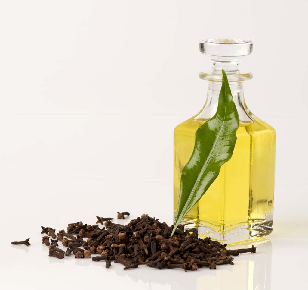 20 Top Benefits and Uses of Clove Oil – Anveya
