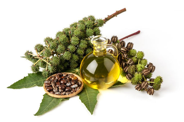 Castor Oil