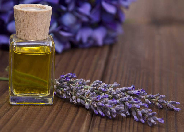 Lavender Oil for Face & Skin - Uses, Benefits, Precautions & more