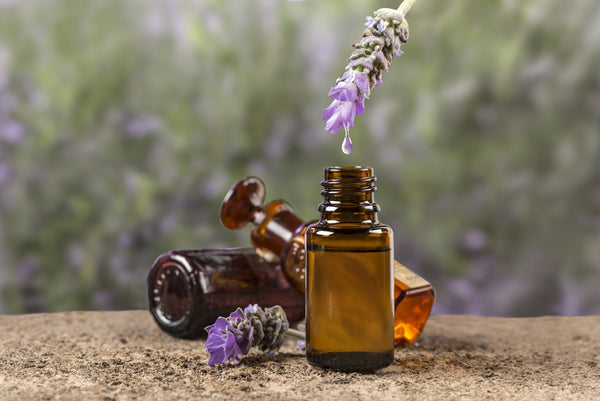 Lavender Essential Oil Cold and Cough 