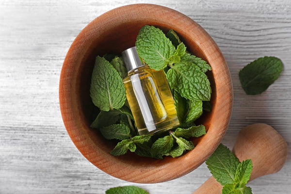 Peppermint Essential Oil