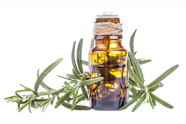 Rosemary Essential Oil for Clod and Cough